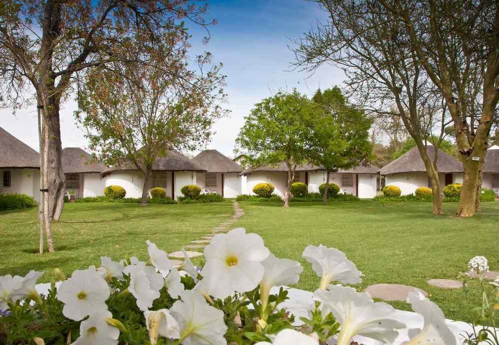 Fotos del hotel - PROTEA HOTEL OUDTSHOORN RIEMPIE ESTATE