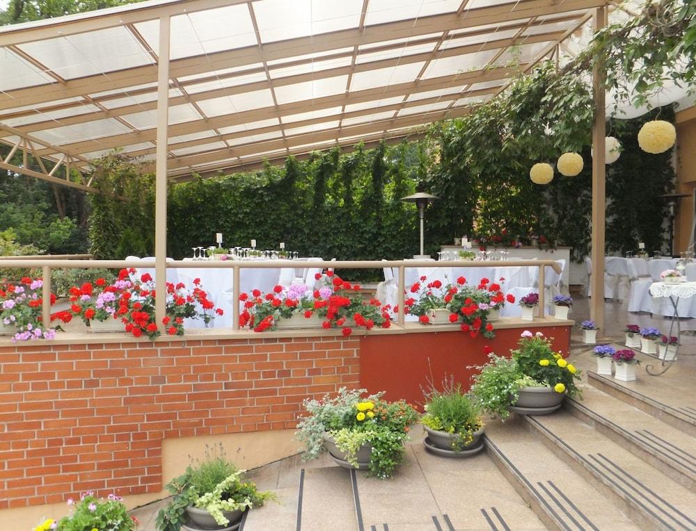 Fotos del hotel - KAROLINA PARK HOTEL