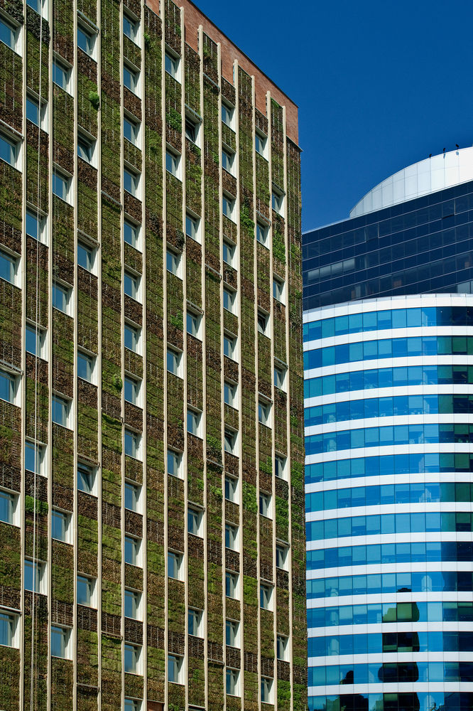 Fotos del hotel - INTERCONTINENTAL SANTIAGO
