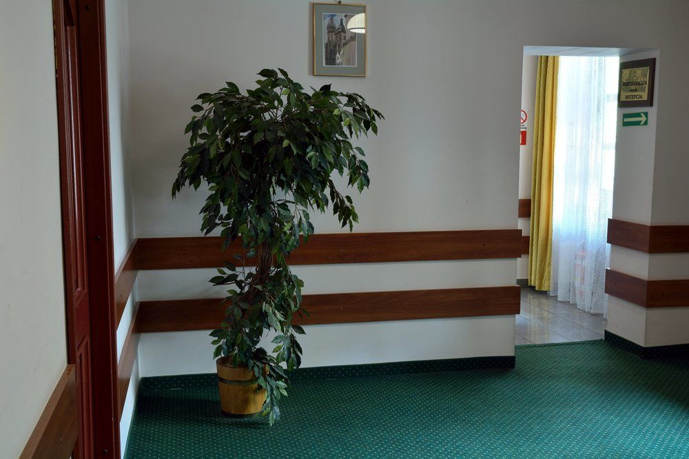 Fotos del hotel - FORTUNA BIS