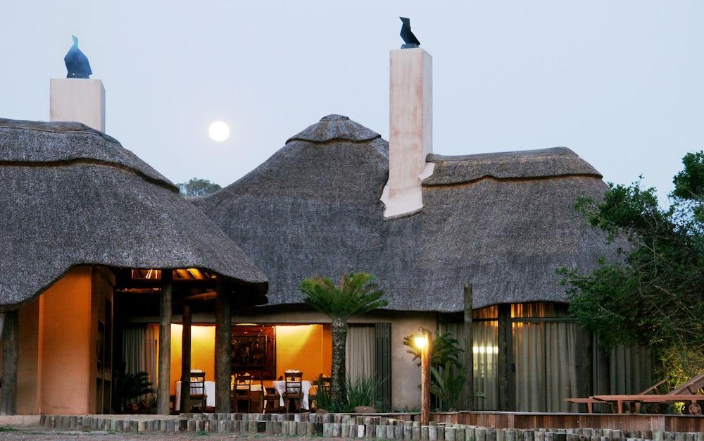 Fotos del hotel - Premier Resort Mpongo Private Game Reserve