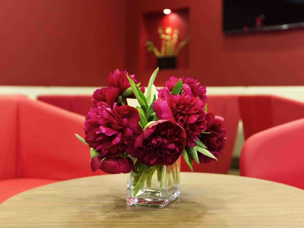 Fotos del hotel - IBIS STYLES VILNIUS