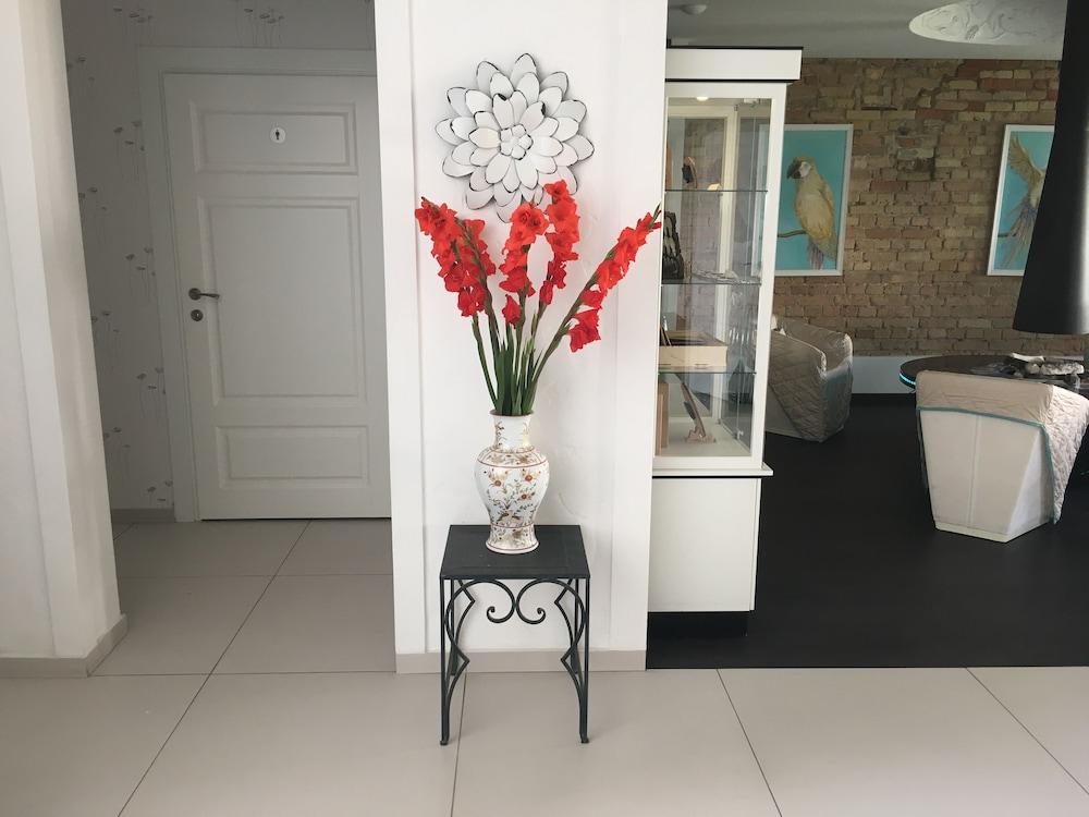 Fotos del hotel - MOON GARDEN ART