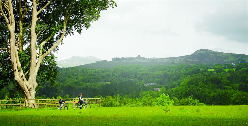 Fotos del hotel - POWERSCOURT