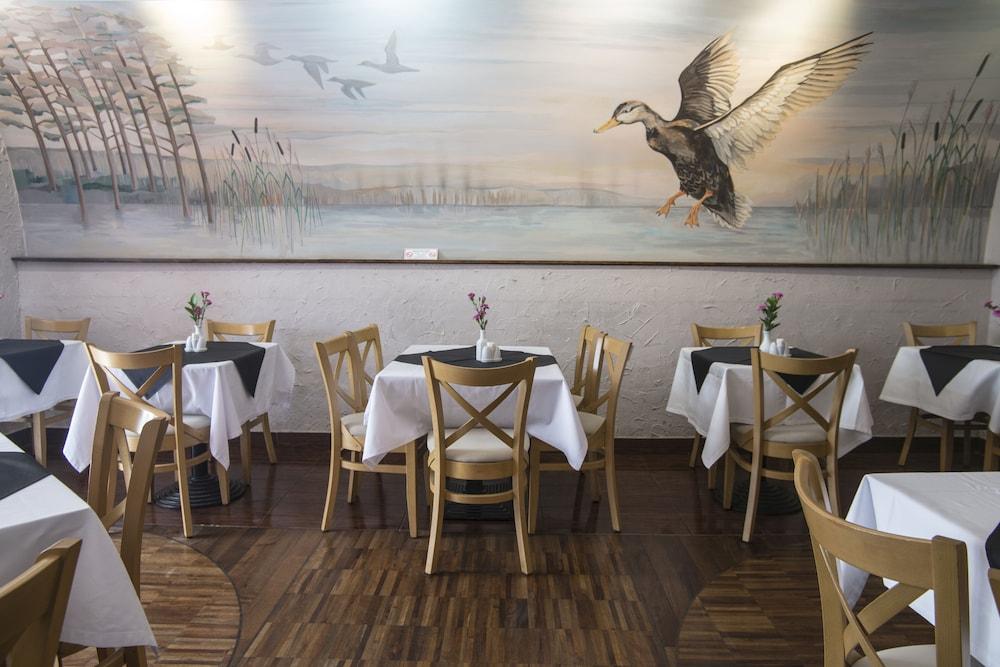 Fotos del hotel - WAWEL