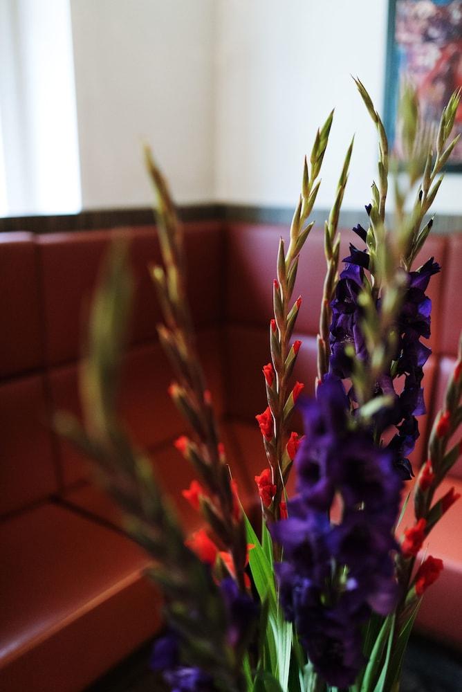 Fotos del hotel - SAVOY AMSTERDAM