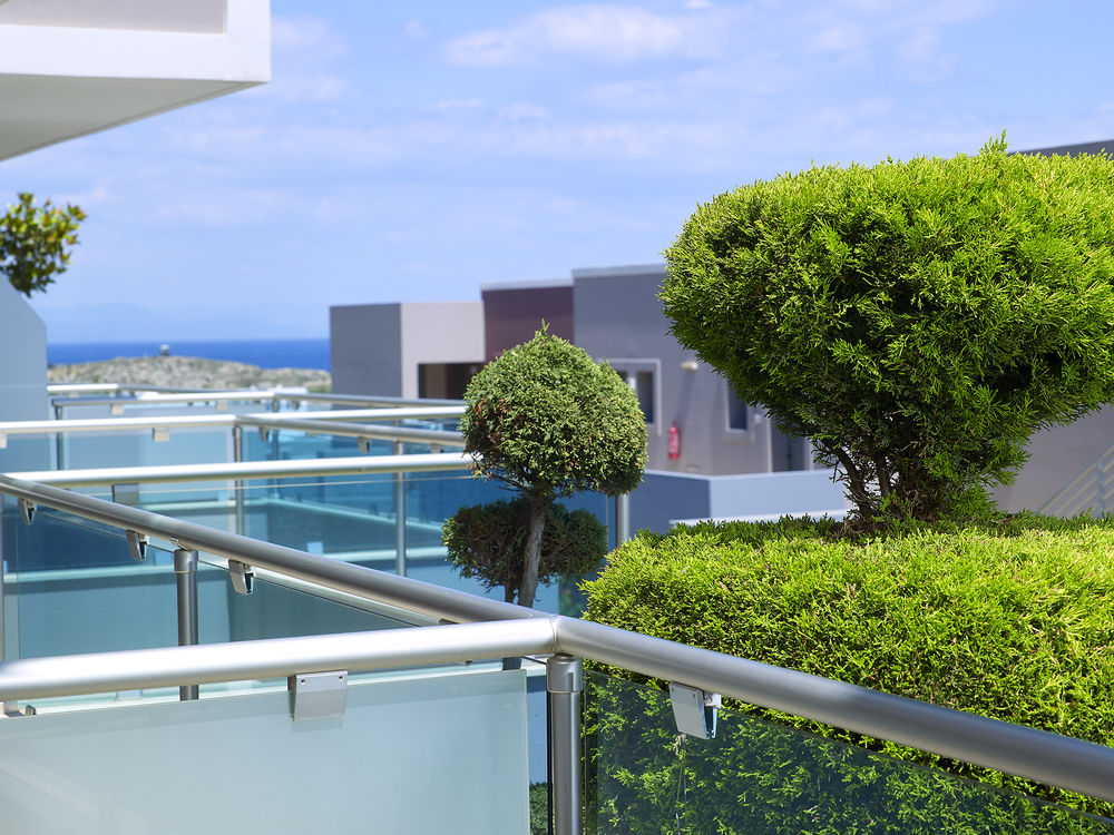 Fotos del hotel - MICHELANGELO RESORT & SPA