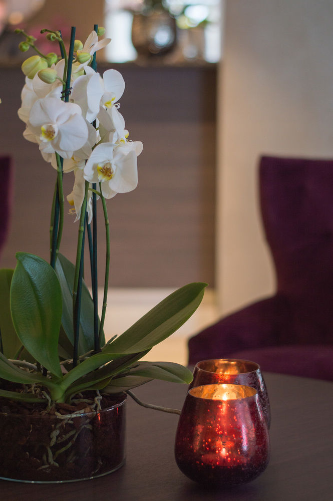 Fotos del hotel - Best Western Plus Park Airport Hotel
