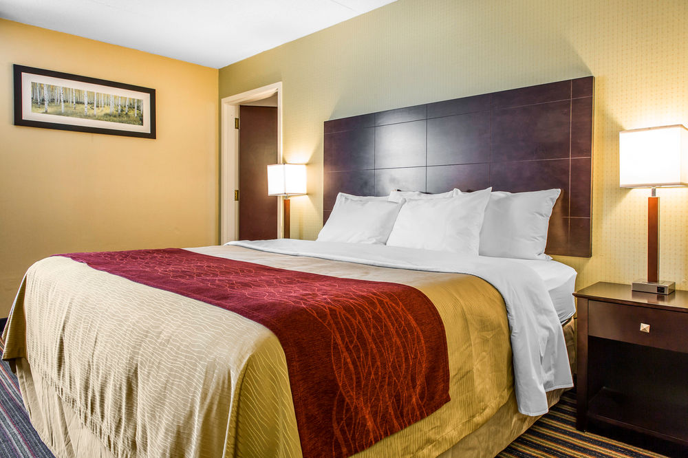 Comfort Inn & Suites East Hartford - Hartford