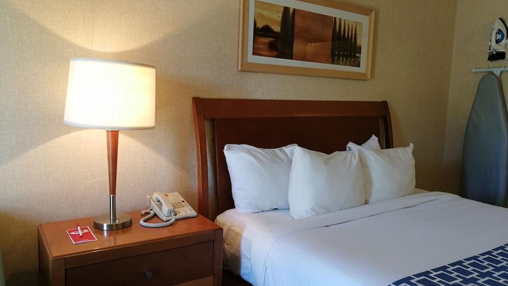 Fotos del hotel - ECONO LODGE AIRPORT QUEBEC