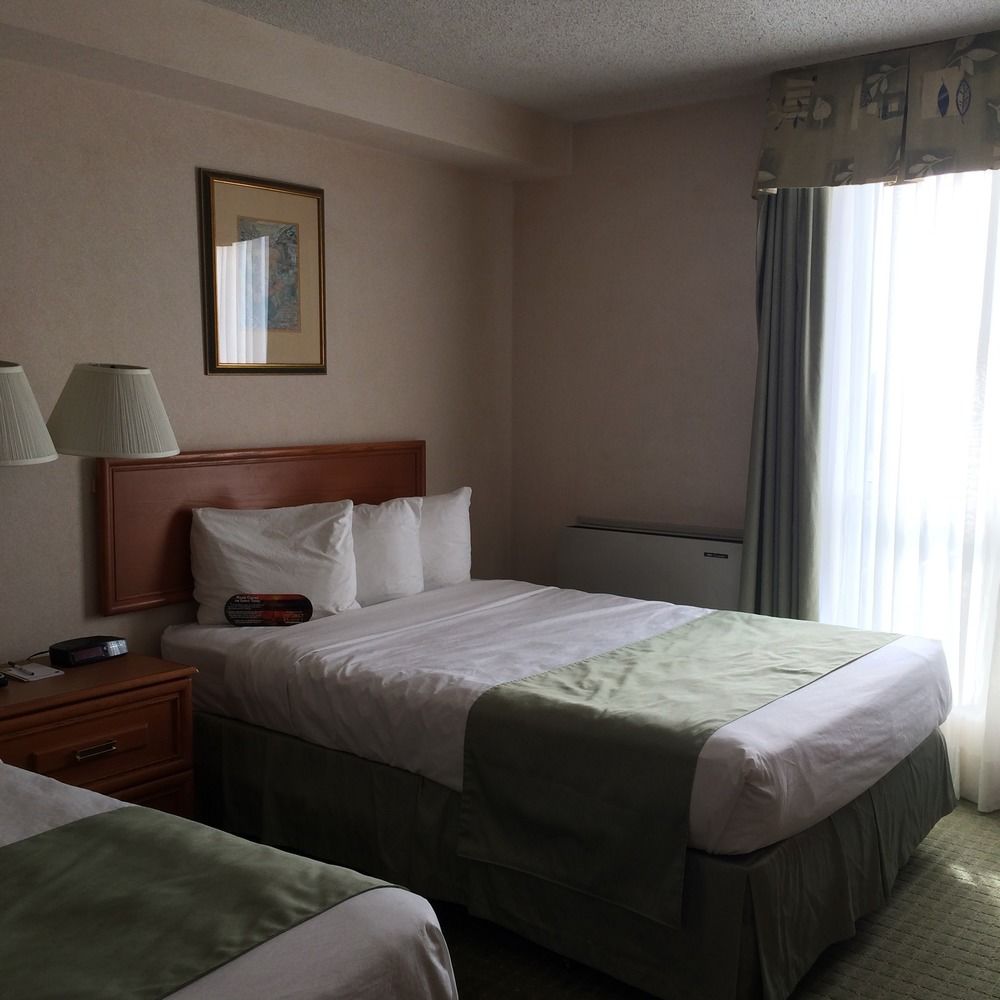 Fotos del hotel - Four Points by Sheraton Toronto Airport East