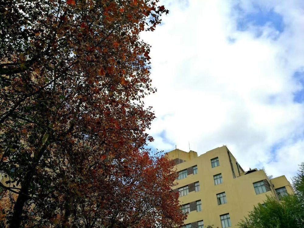 Fotos del hotel - GALLERY SUITES
