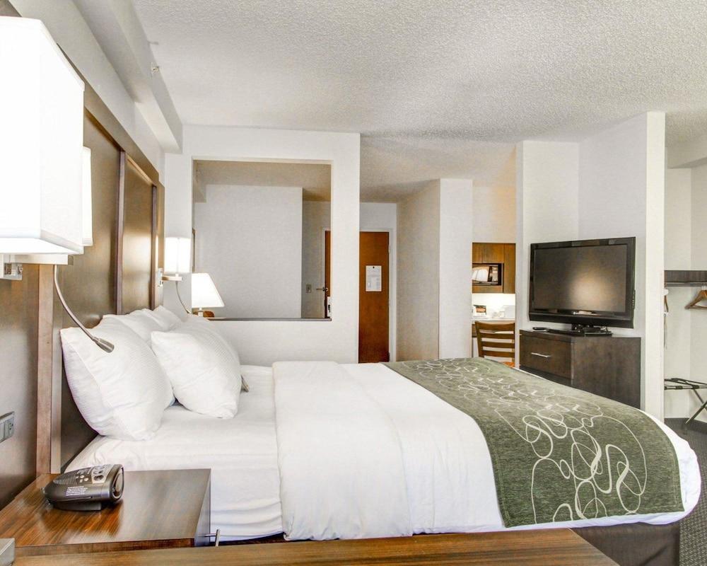 Fotos del hotel - Hampton Inn Weston Ft. Lauderdale