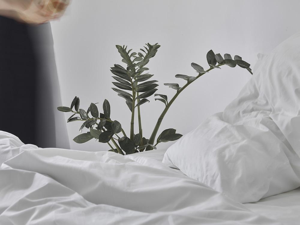 Fotos del hotel - MYHOTEL BRIGHTON