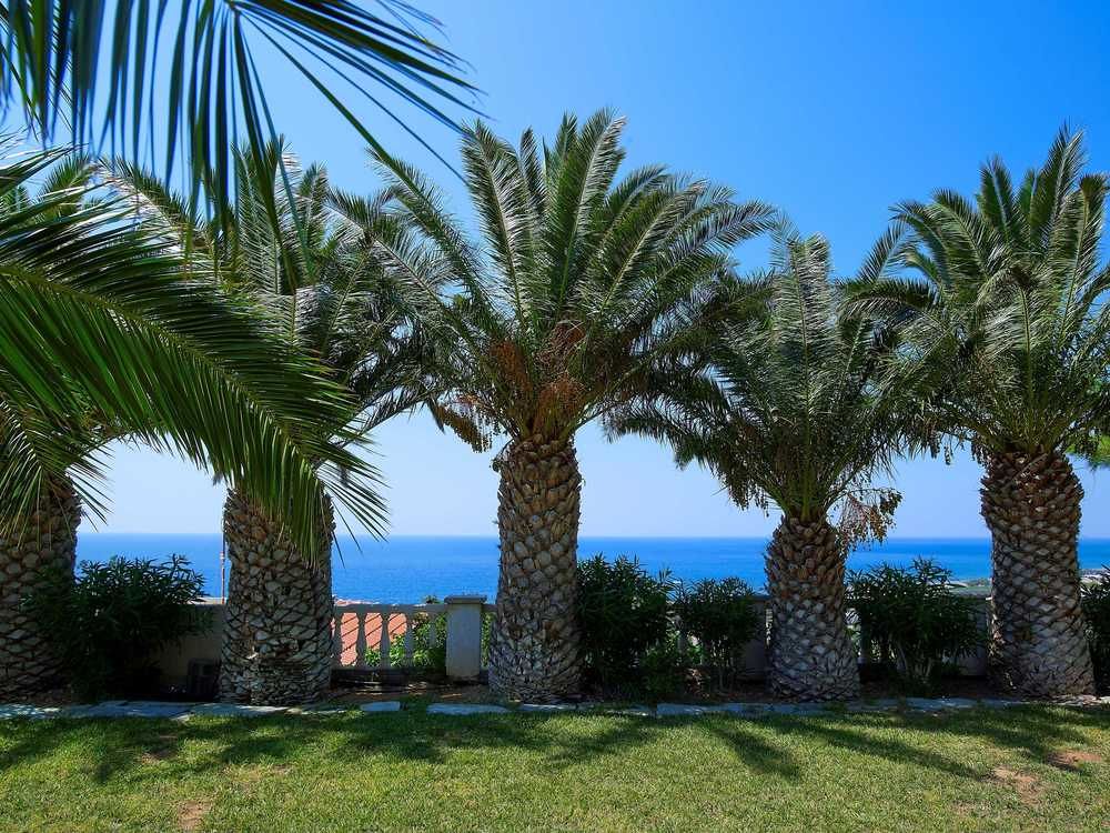 Fotos del hotel - AROMA CRETA