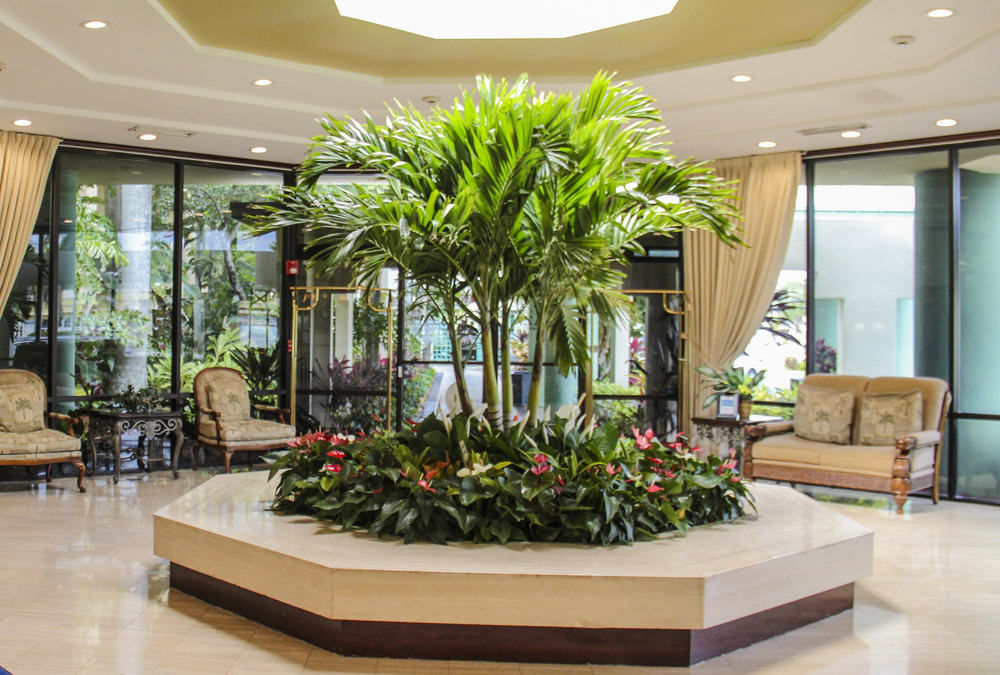 Fotos del hotel - Boca Plaza Hotel