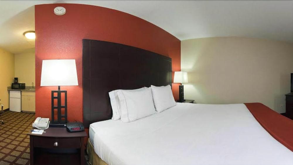HOLIDAY INN EXPRESS HOTEL AND SUITES CHICAGO-ALGONQU(