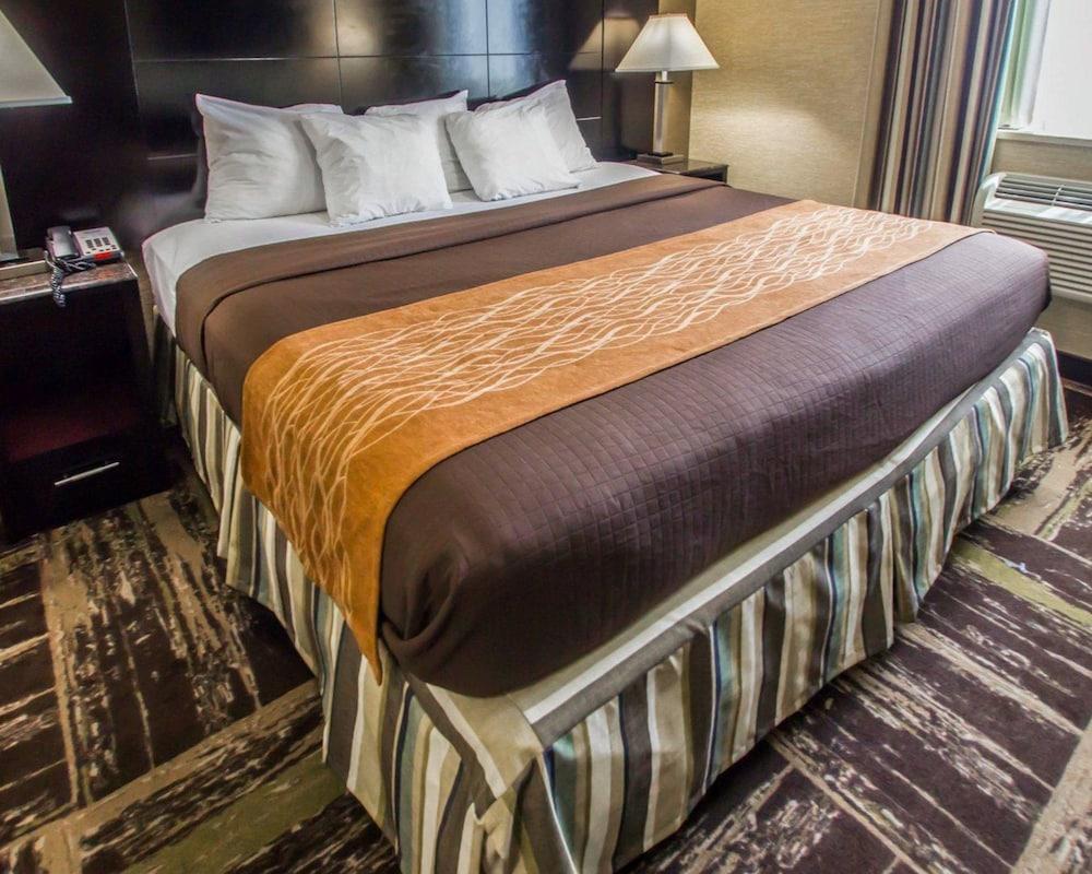 Fotos del hotel - RODEWAY INN BRONX ZOO