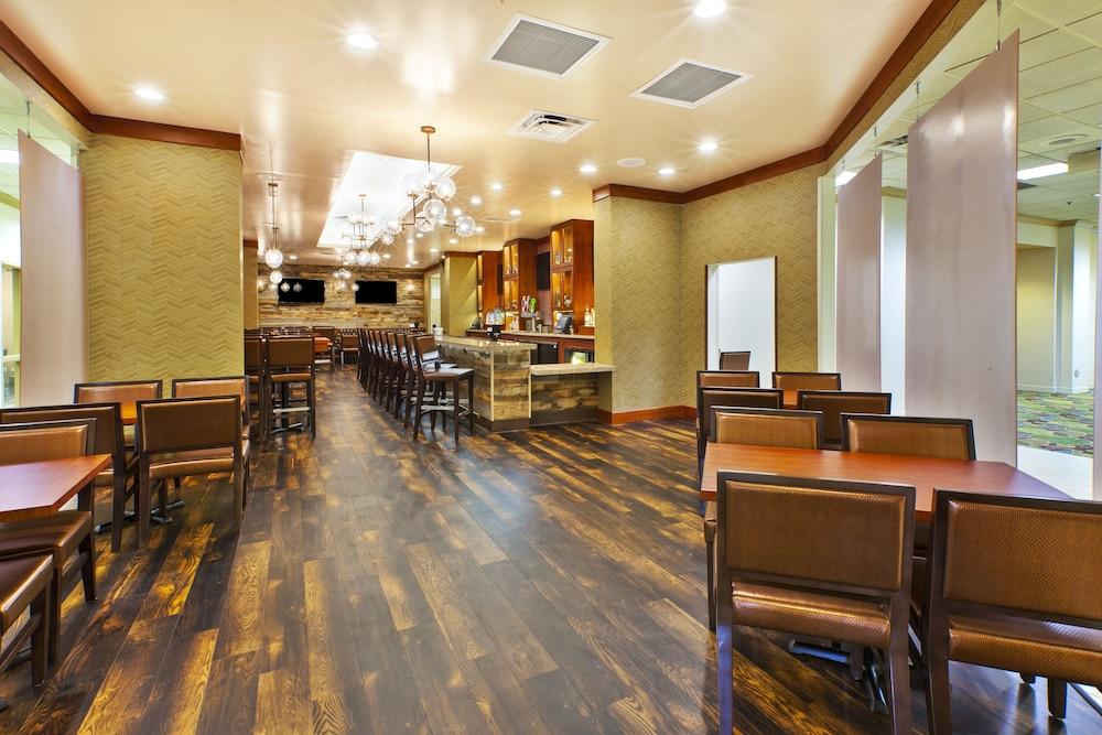Holiday Inn & Suites Bolingbrook, an IHG Hotel