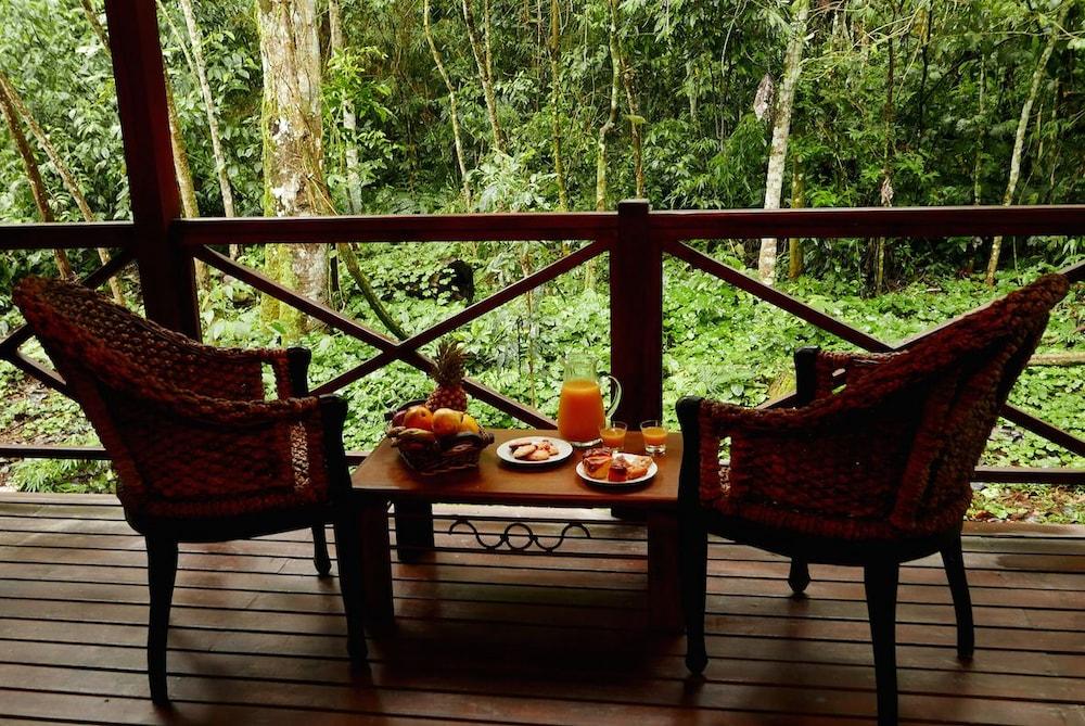 Fotos del hotel - Selva de Laurel