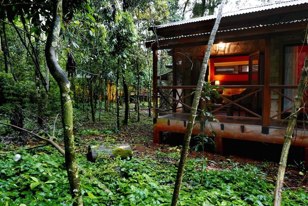 Fotos del hotel - Selva de Laurel
