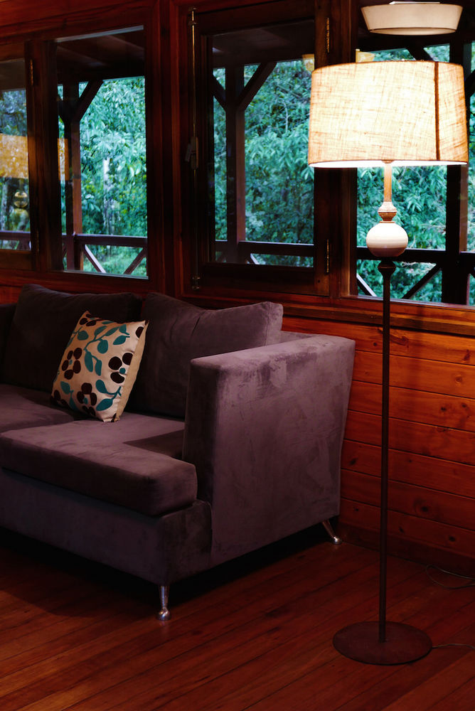 Fotos del hotel - Selva de Laurel