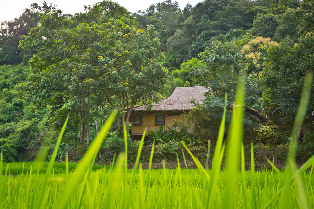 Fotos del hotel - Hmong Hill Tribe Lodge Chiang Mai