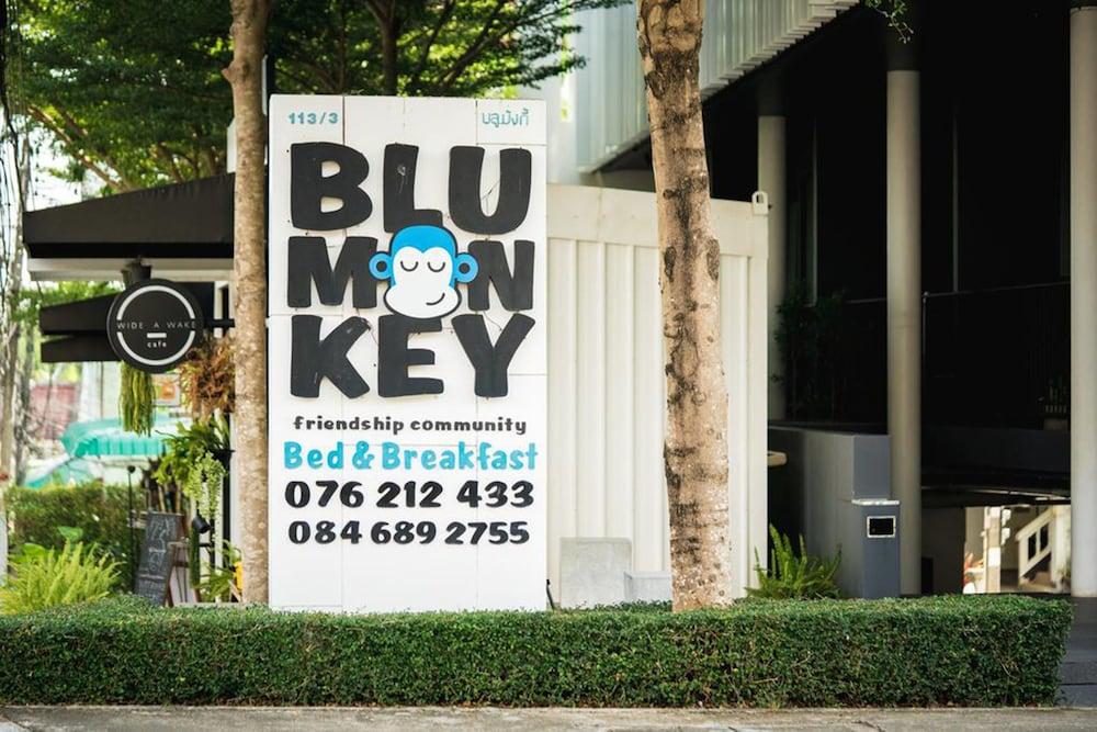Fotos del hotel - BLU MONKEY BED AND BREAKFAST P