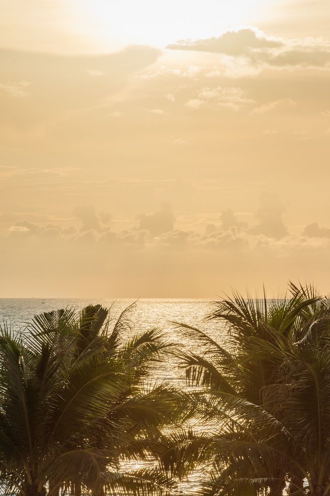 Fotos del hotel - Dream Phuket Hotel and Spa