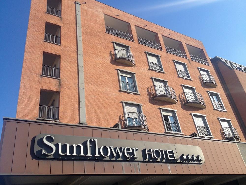 Fotos del hotel - Sunflower
