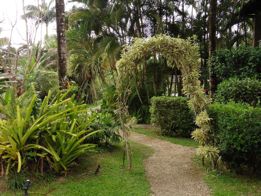 Fotos del hotel - BAMBU BAMBOO INN