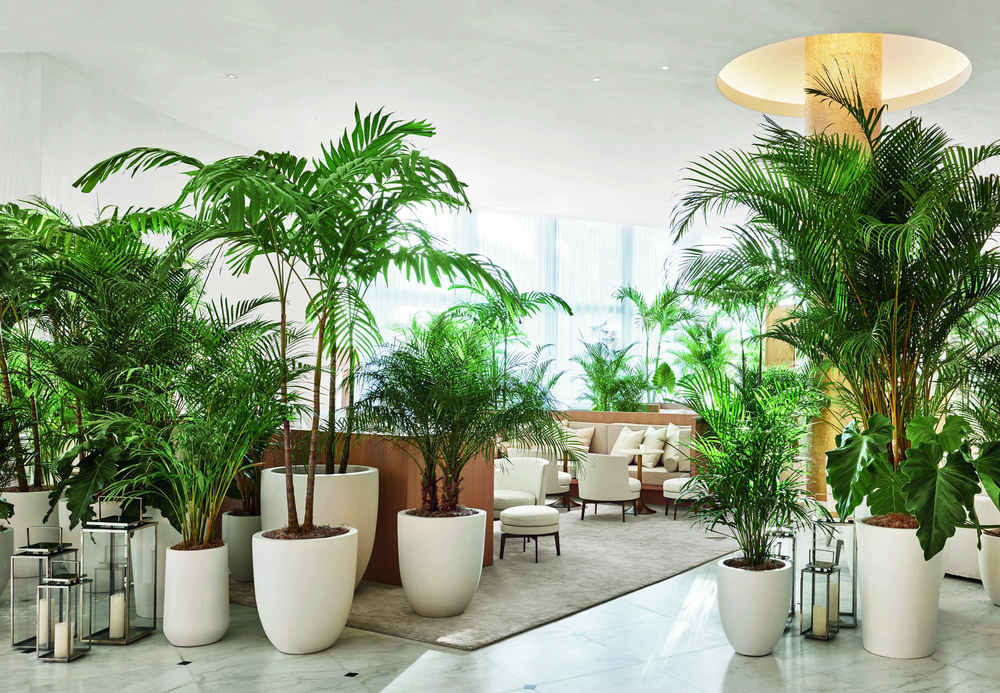 Fotos del hotel - THE MIAMI BEACH EDITION
