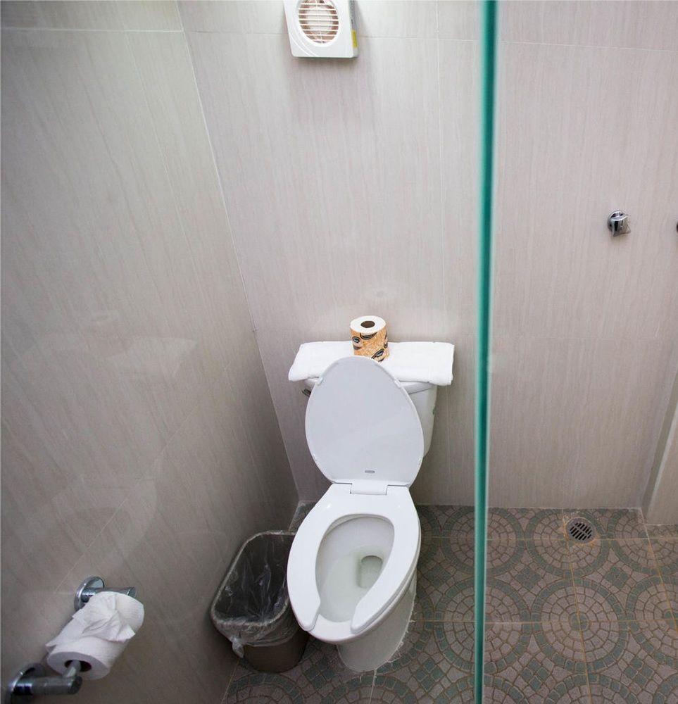 Fotos del hotel - Hotel Plaza Caribe