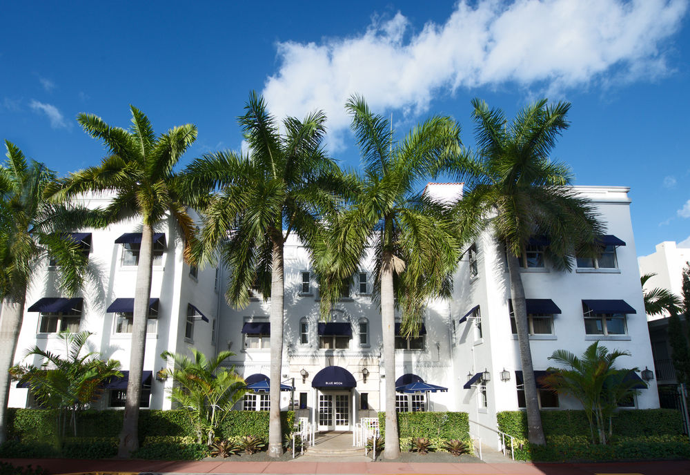 Fotos del hotel - BLUE MOON HOTEL SOUTH BEACH