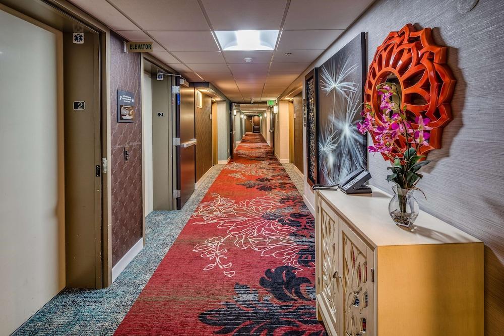 Fotos del hotel - Hampton Inn San Francisco Airport