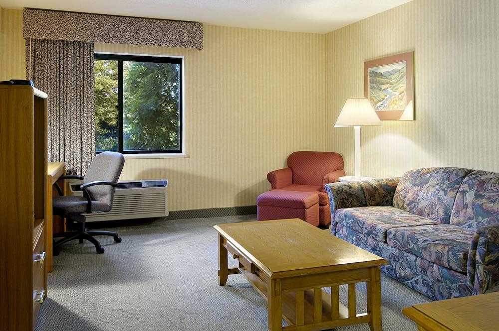 BAYMONT INN AND SUITES BRIDGEPORT/FRANKENMUTH