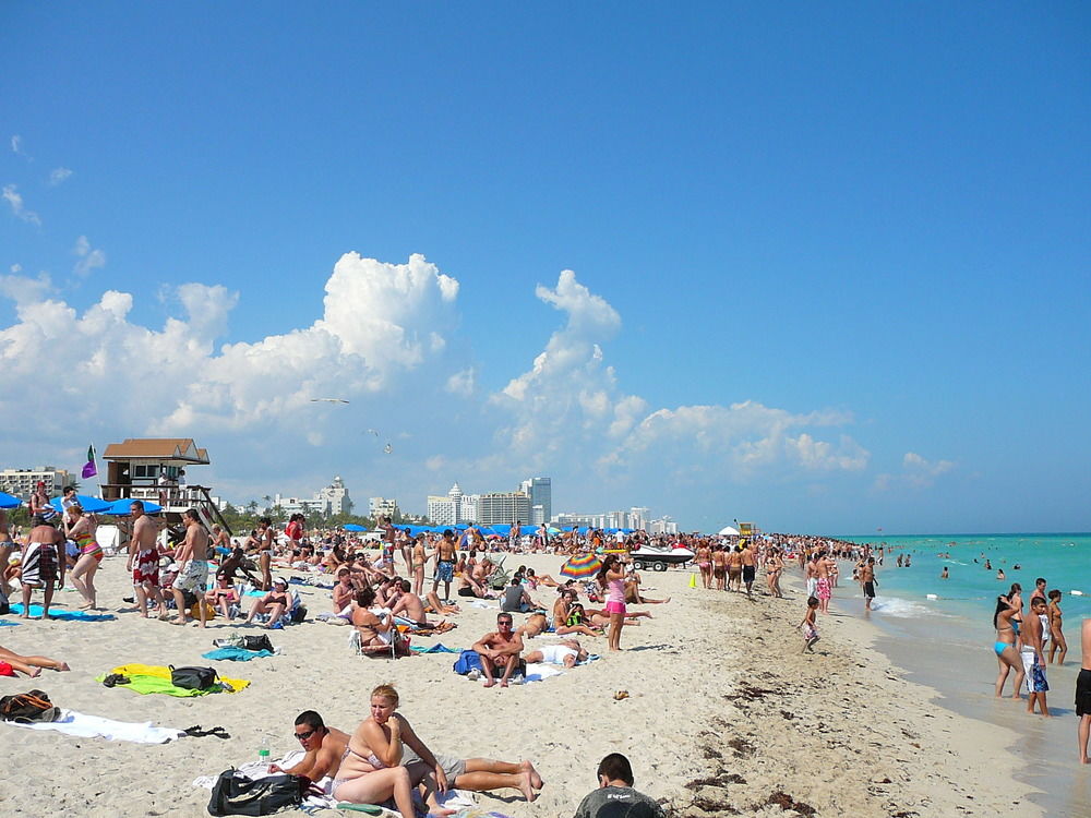 Fotos del hotel - South Beach Plaza Hotel