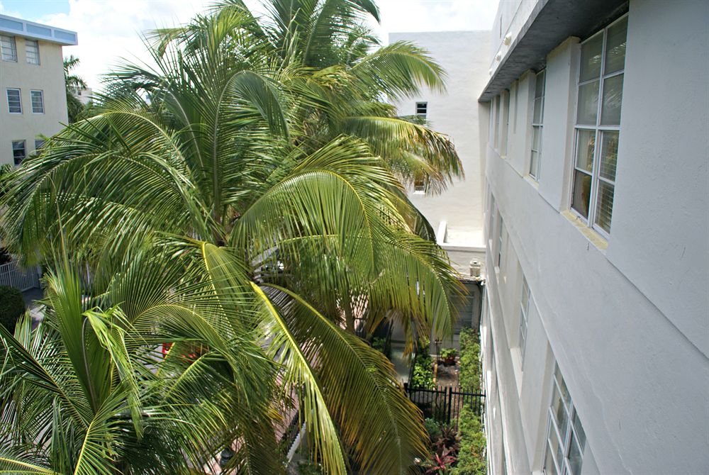 Fotos del hotel - South Beach Plaza Hotel