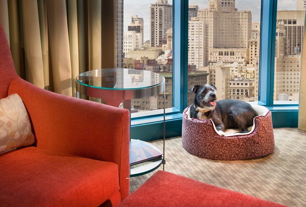 Fotos del hotel - InterContinental San Francisco by IHG