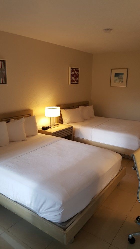 Fotos del hotel - Garden Inn Homestead
