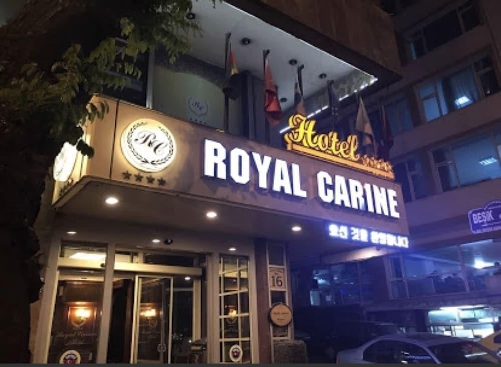 Fotos del hotel - Royal Carine Hotel