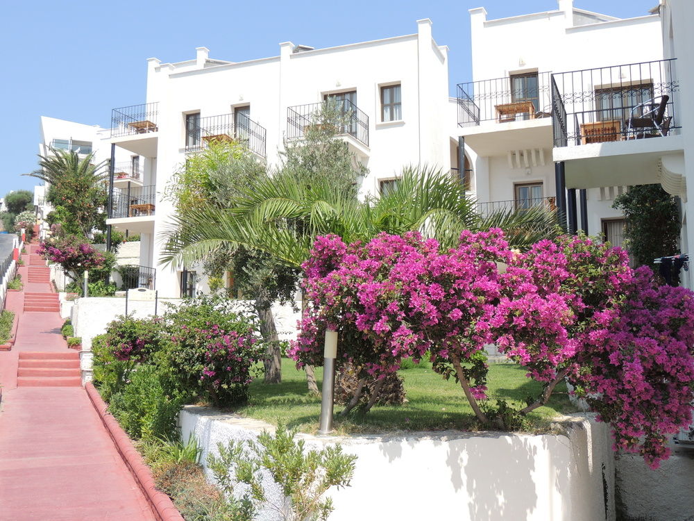 Fotos del hotel - ROSSO VERDE HOTEL