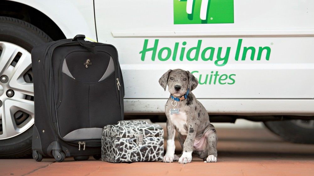 Holiday Inn Bloomington-Airport, an IHG Hotel