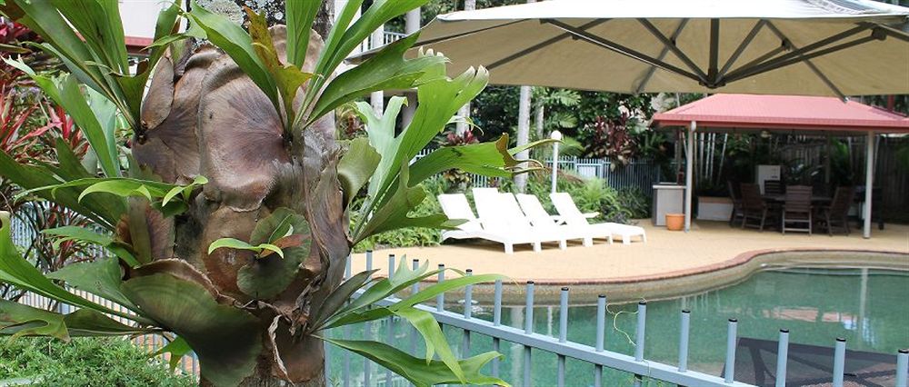 Cairns Reef Apartments & Motel