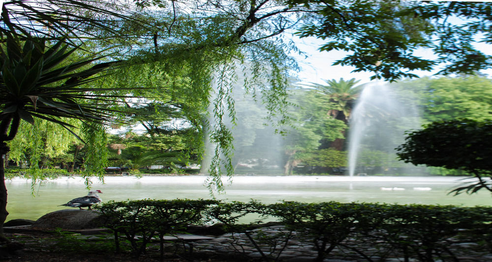 Foto - Hotel Parque México Boutique