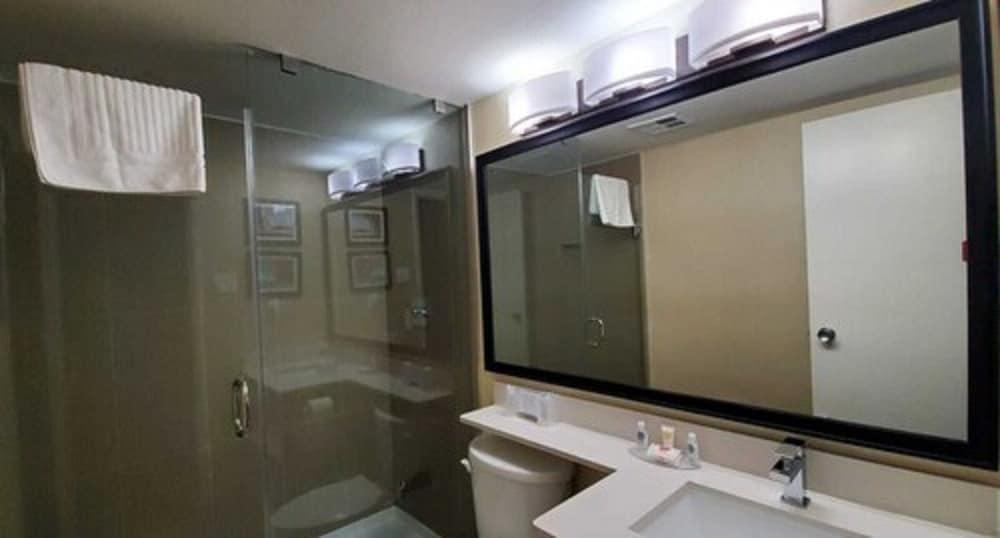 Fotos del hotel - Comfort Inn North Toronto