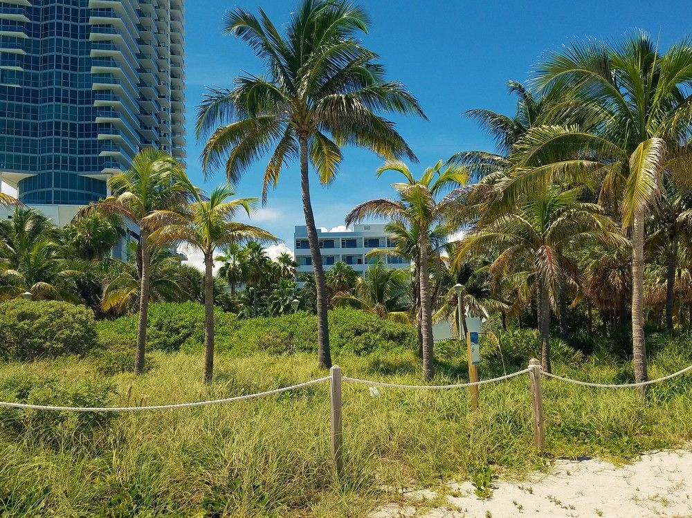 Fotos del hotel - SEAGULL HOTEL MIAMI BEACH
