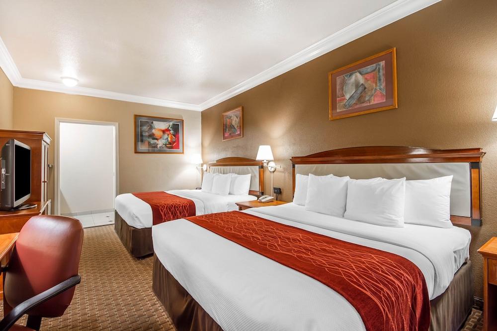 Fotos del hotel - COMFORT INN AND SUITES SAN FRANCISCO AIRPORT NORTH