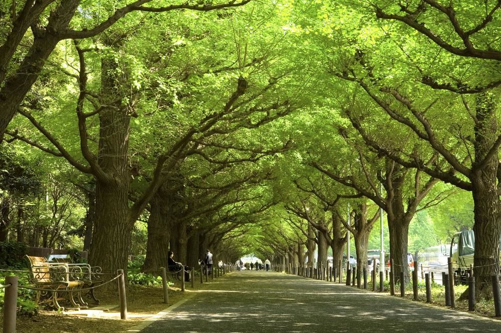 Fotos del hotel - THE WESTIN TOKYO
