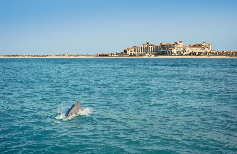 Fotos del hotel - St. Regis Saadiyat Island